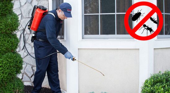 Pülümür Bit İlaçlama böcek ilaçlama ve haşere kontrolü — ilaclama-tr.com